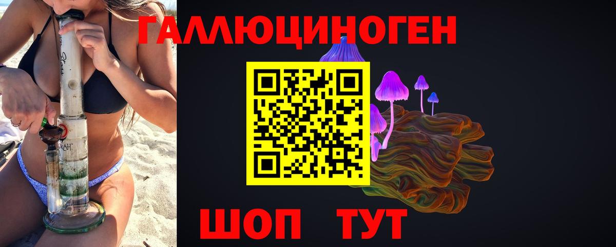 купить наркотик  Вход с VPN  Лангепас  Псилоцибиновые грибы Psilocybine cubensis  Псилоцибиновые грибы Psilocybine cubensis 